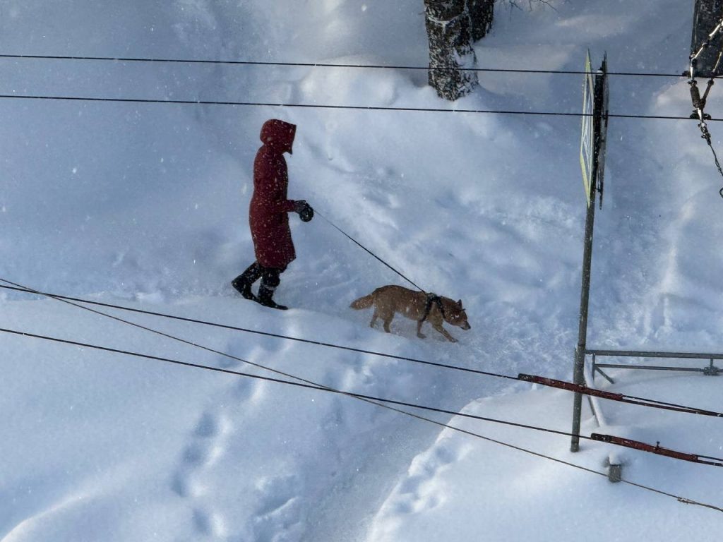    Фото: Яна Пивцайкина