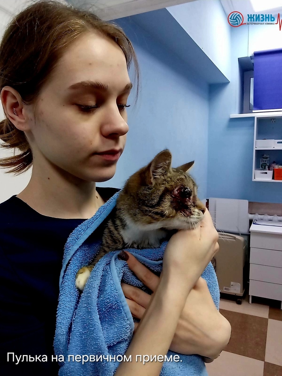 Пулька до операции