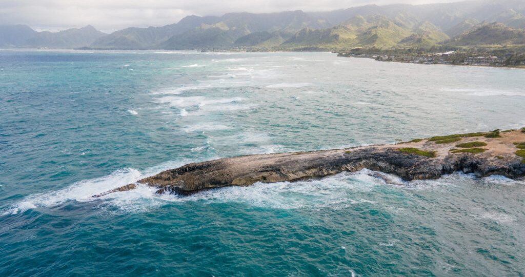 Финансовые документы для Новой Зеландии: выписка, остаток, движение средств
