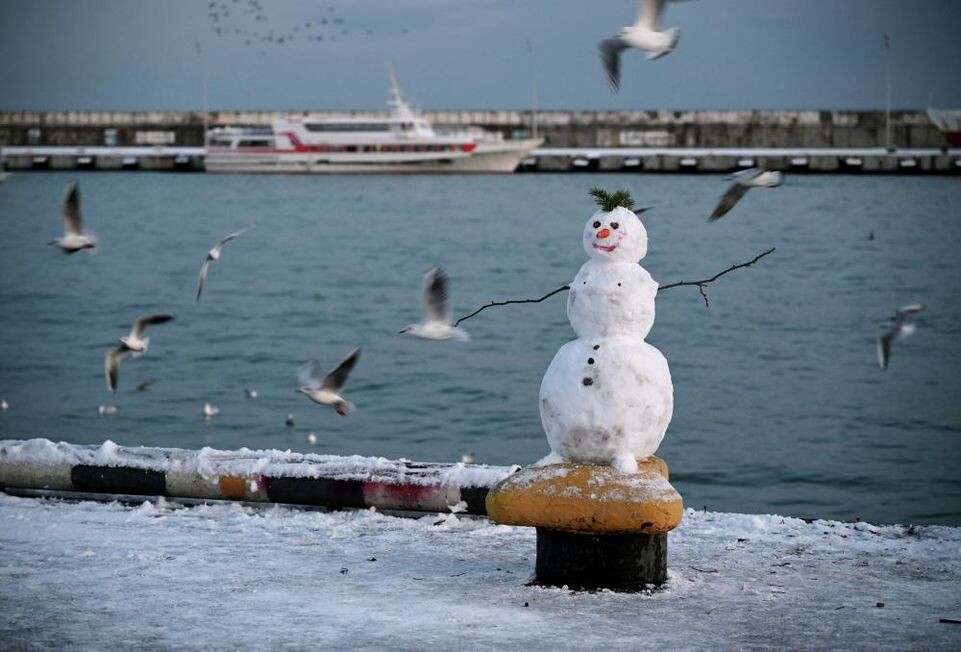    РИА «Новости»