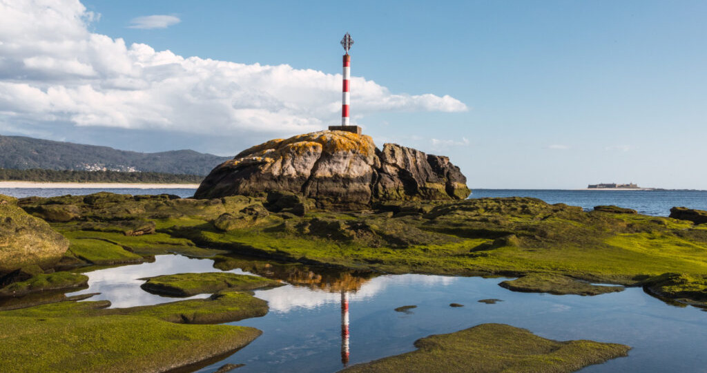 Загранпаспорт ребенку для визы в Новую Зеландию: онлайн-подача и семейный пакет