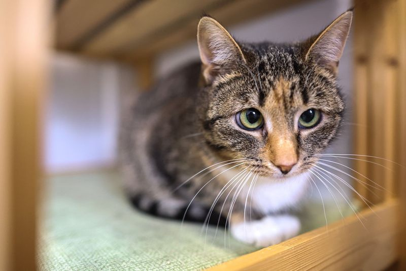    Алексей Белкин/NEWS.ru