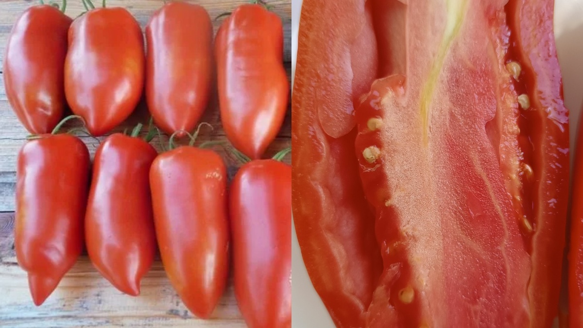 Слепая дегустация выявила истинного лидера по вкусу