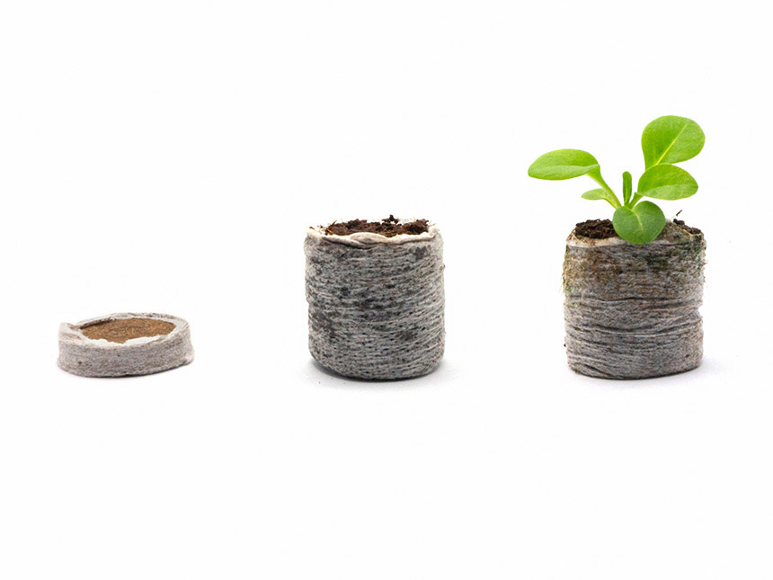 торфяная таблетка