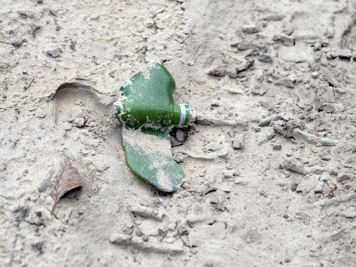    Противопехотная фугасная мина ПМФ-1 "Лепесток", обнаруженная военнослужащими НМ ДНР на дороге у села Избицкое Харьковской области | © РИА Новости / Виктор Антонюк