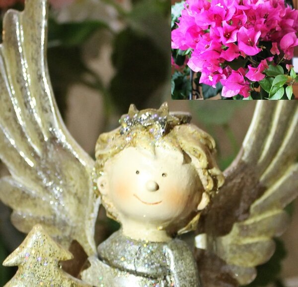 Красивая версия, что цветы - это улыбки ангелов. Ангелы резвились на полянке, улыбались... А там потом расцвели цветы