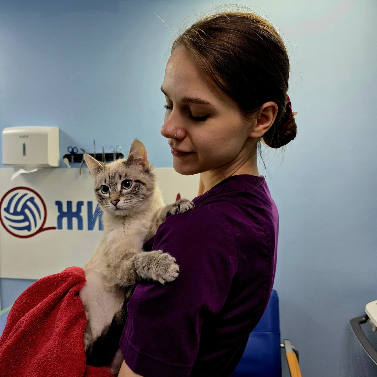 Грыжесечение в ветеринарной клинике в Калуге Жизнь. 