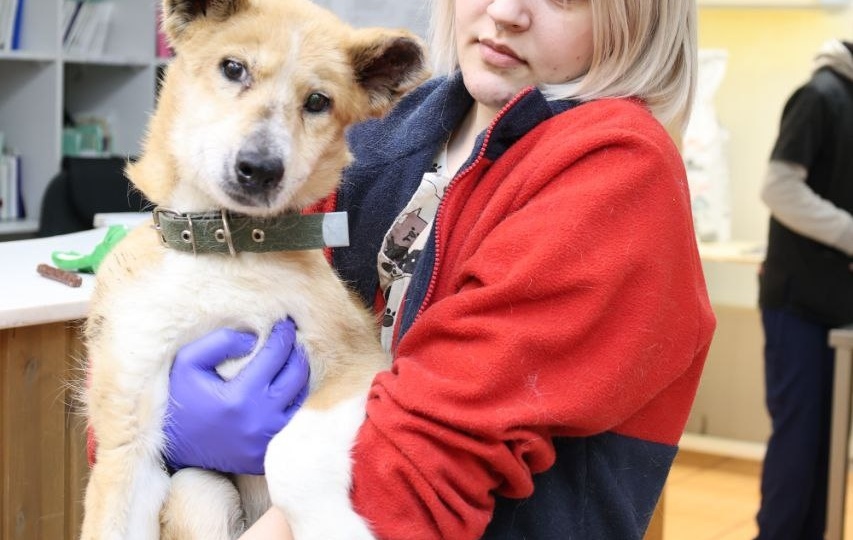 Один день, который изменил всё навсегда... История нашей Ханны.