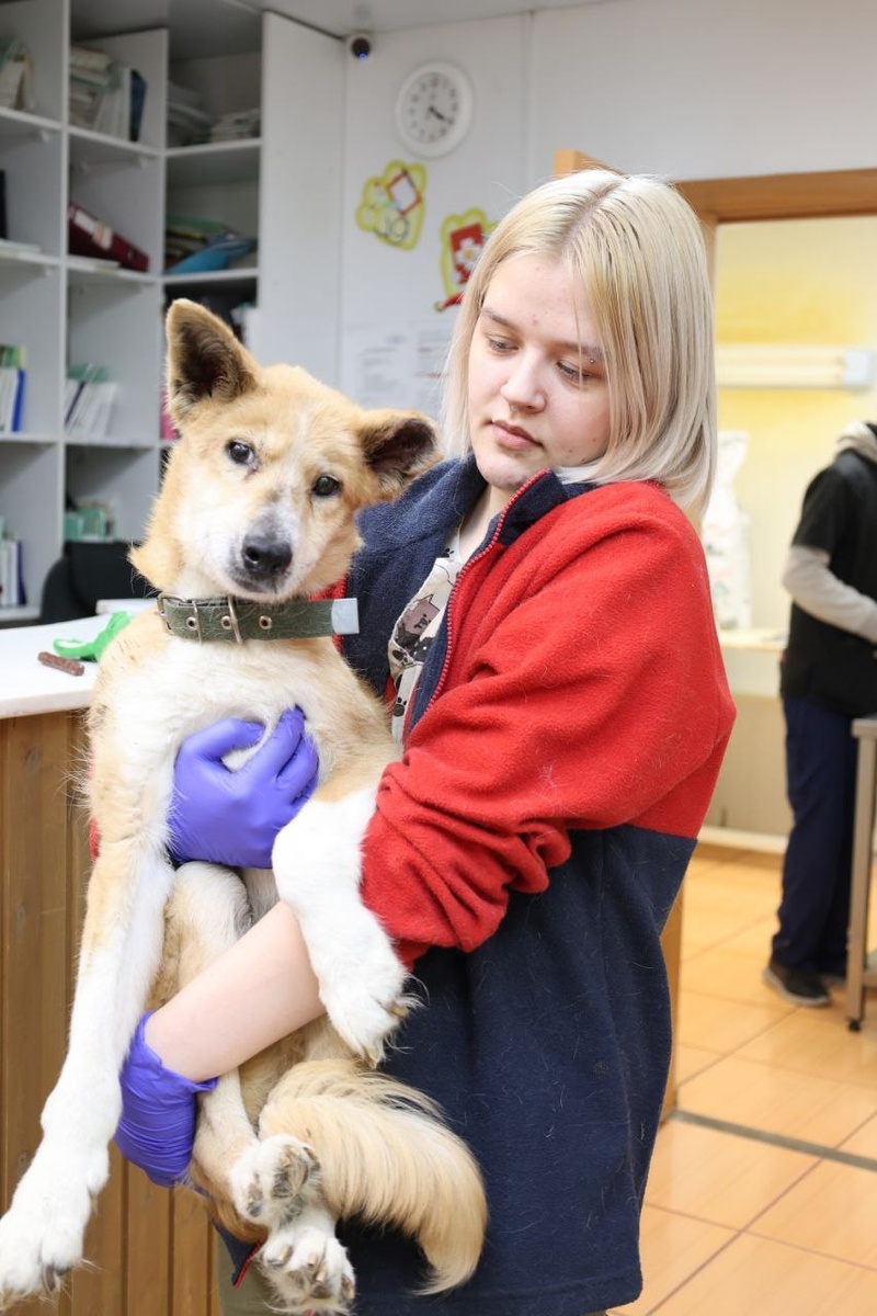 Ханна - символ невероятной воли к жизни.