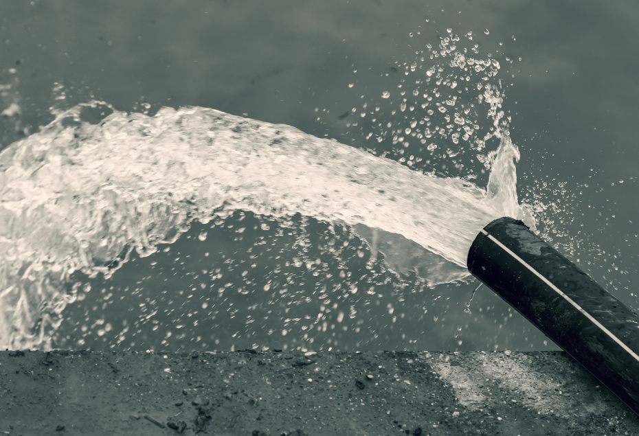    Shutterstock/FOTODOM