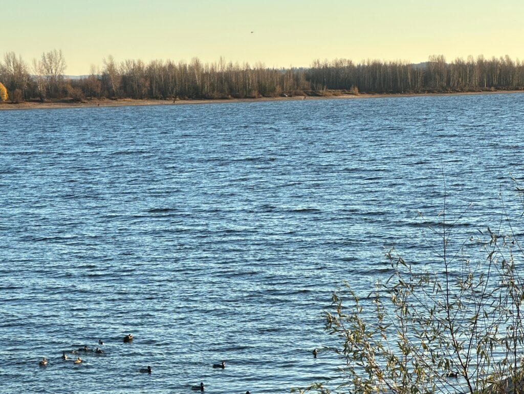    Фото: В курсе.ру Полина Анкушина