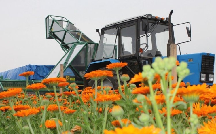    Фото: Минсельхозпрод Республики Бурятия