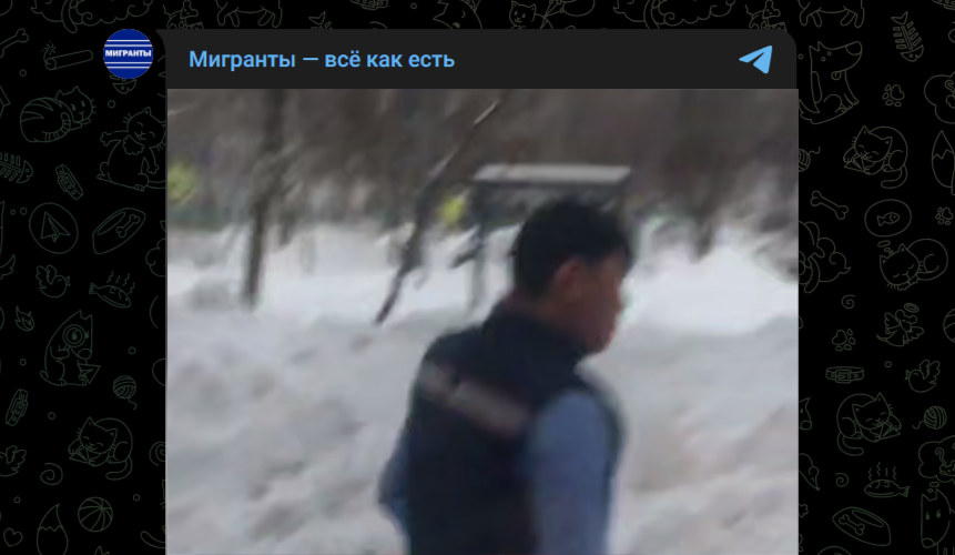 Фото: Telegram-канал "Мигранты - всё как есть!