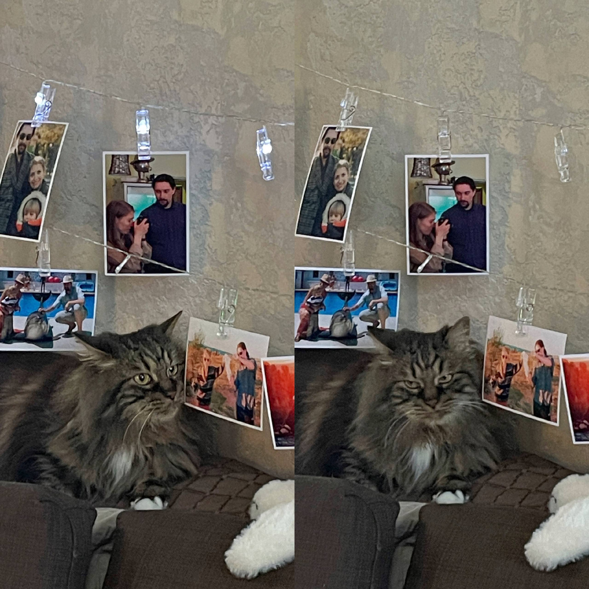 Шико повезло, был всего один ребёнок, но он всё равно недоволен до крайности😆 Осуждает всем котом.