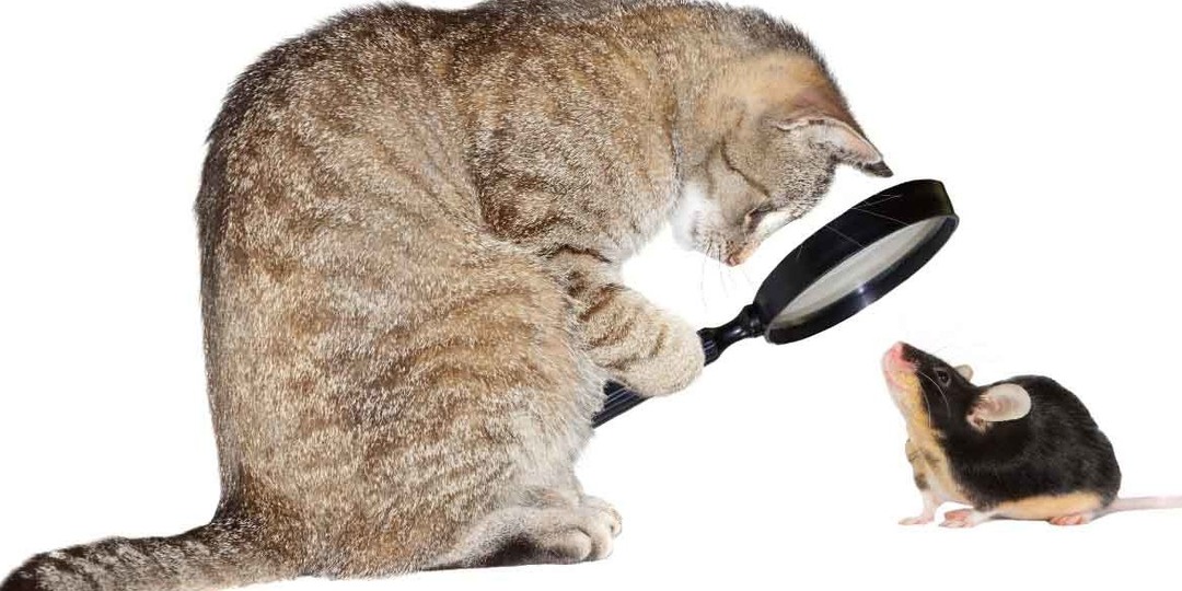 Работодатели изучают ваши соцсети не только при устройстве на работу, но и когда вы уже действующий сотрудник