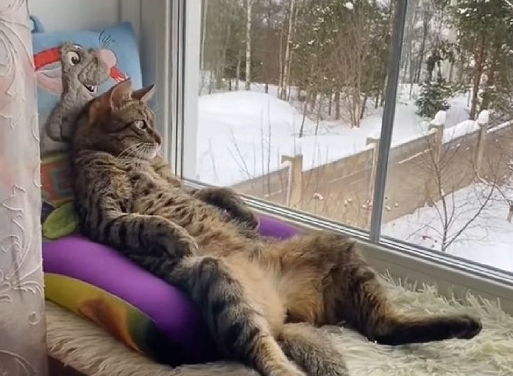 удобства у окна