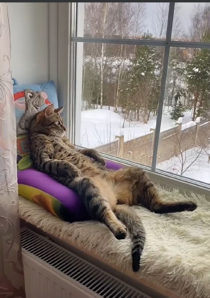 иллюстраия из яндекс картинки.