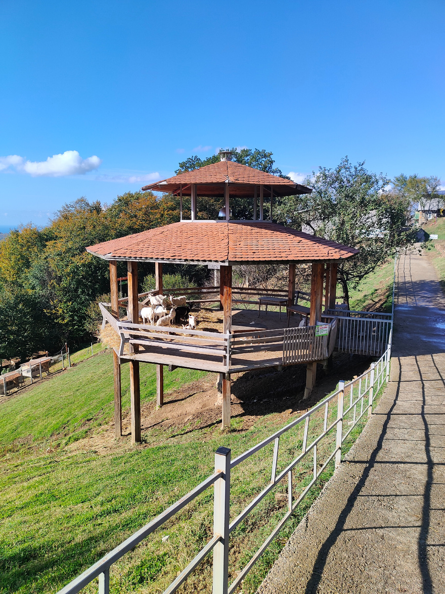 Отныне первичным и безусловным этапом процедуры станет официальное присвоение адреса объекту недвижимости органами местного самоуправления.