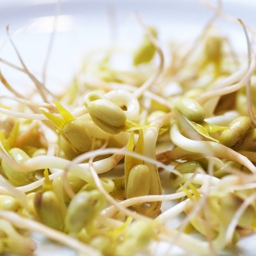    Какие семена сеять в феврале Кристина Борунова