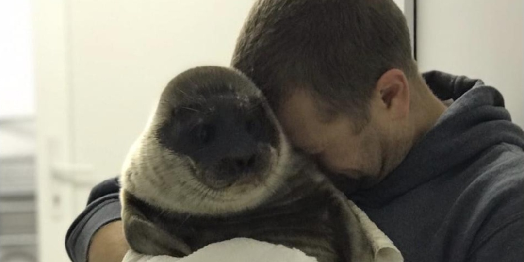 Смотритель маяка Илья спас тюленёнка. А что произошло дальше поразило всех до глубины души