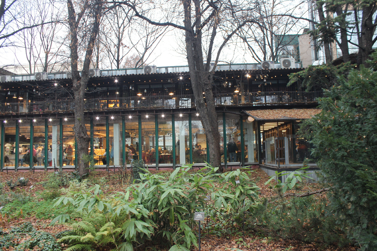 Ботанический сад