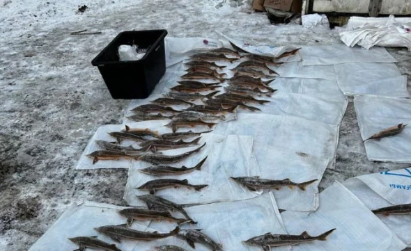 Фото: УФСБ по Пермскому краю