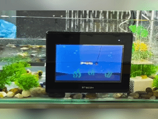 Водонепроницаемая панель оператора Wecon WP3070 с защитой IP67