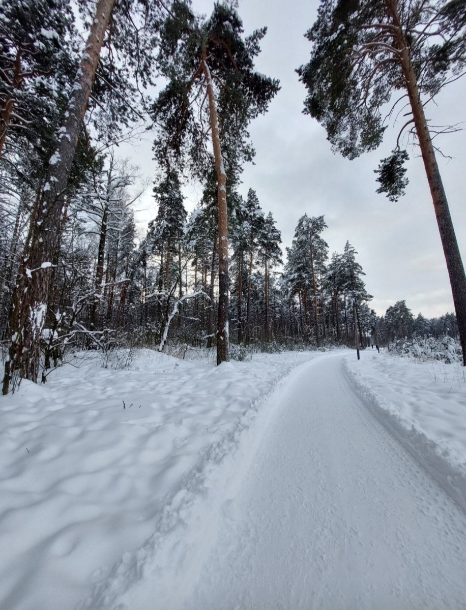 Пустая дорога только в лесу;)