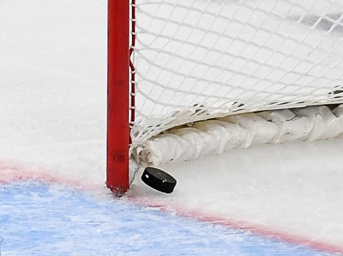    Шайба в воротах | © РИА Новости / Максим Богодвид