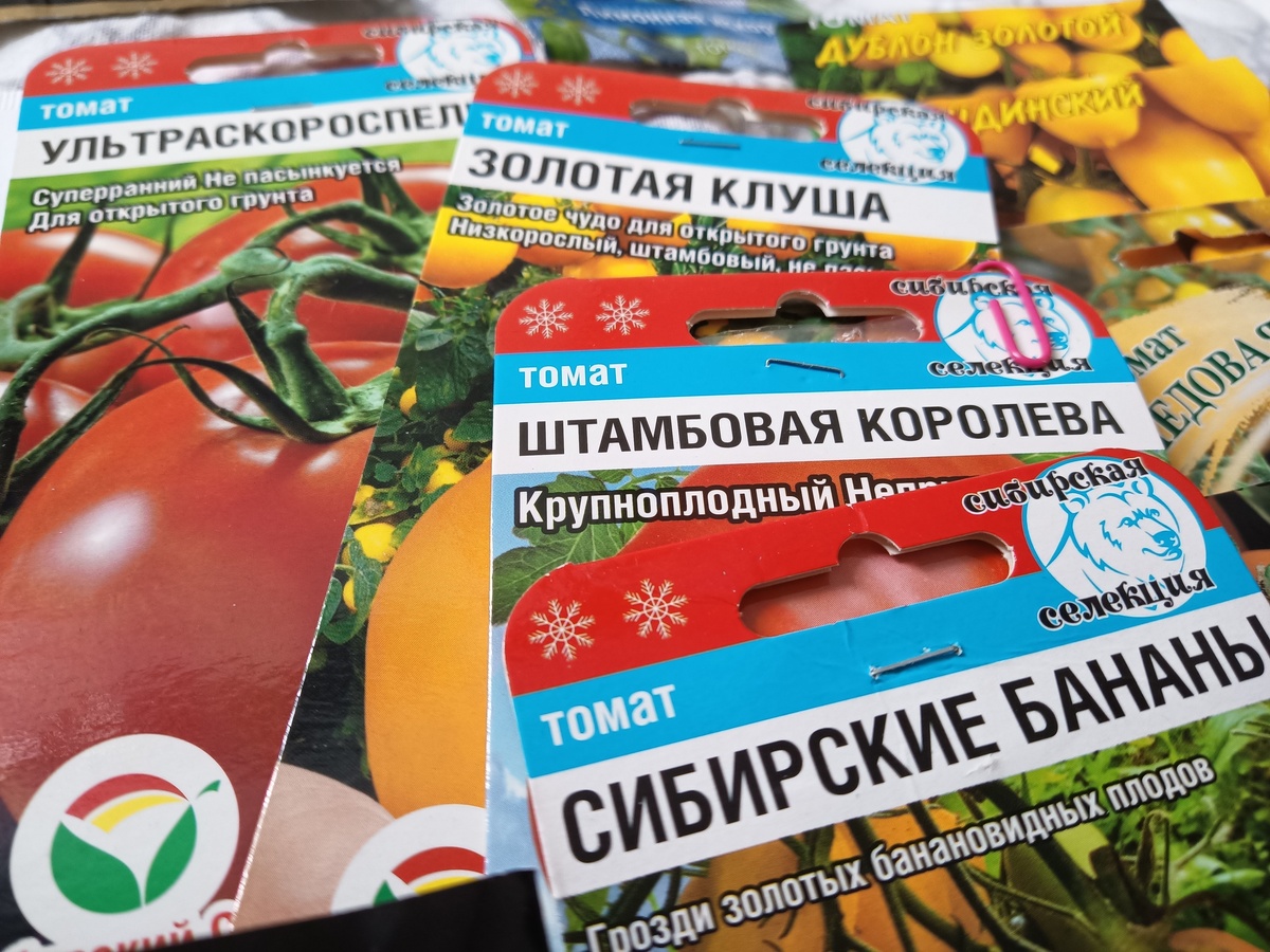 "Ультраскороспелый" и "Золотая клуша" мои любимчики