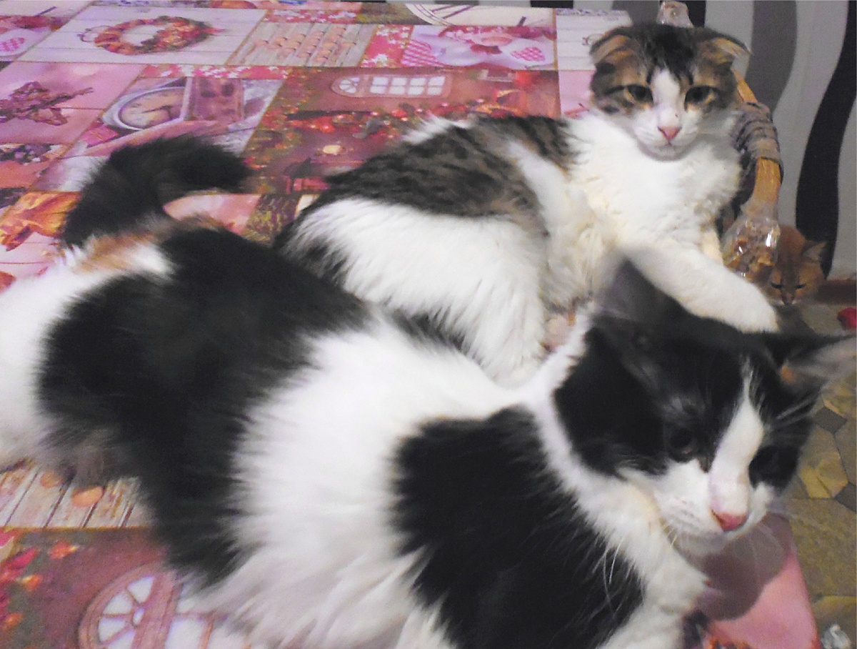 - Эль, не трусь, сама боюсь