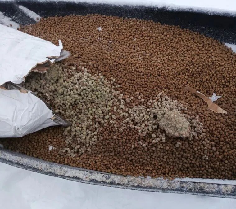 Некоторые пачки с кормом полностью плесневелые. Фото: URA.RU