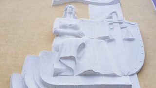    Элина Болдырева Юлия Виноградова