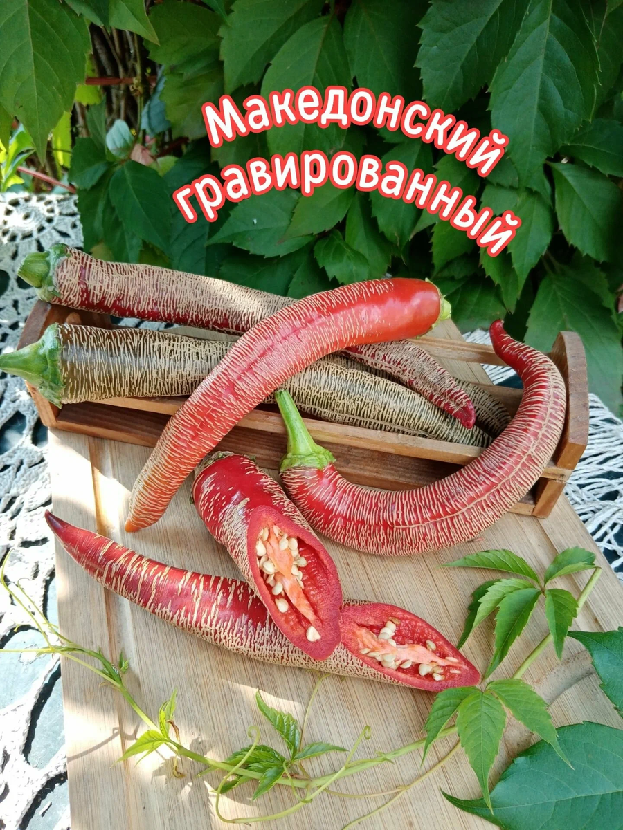 картинка из интернета https://avatars.mds.yandex.net/get-mpic/11722550/2a0000018b844e405e3ccfe4dd8285c13b1c/orig