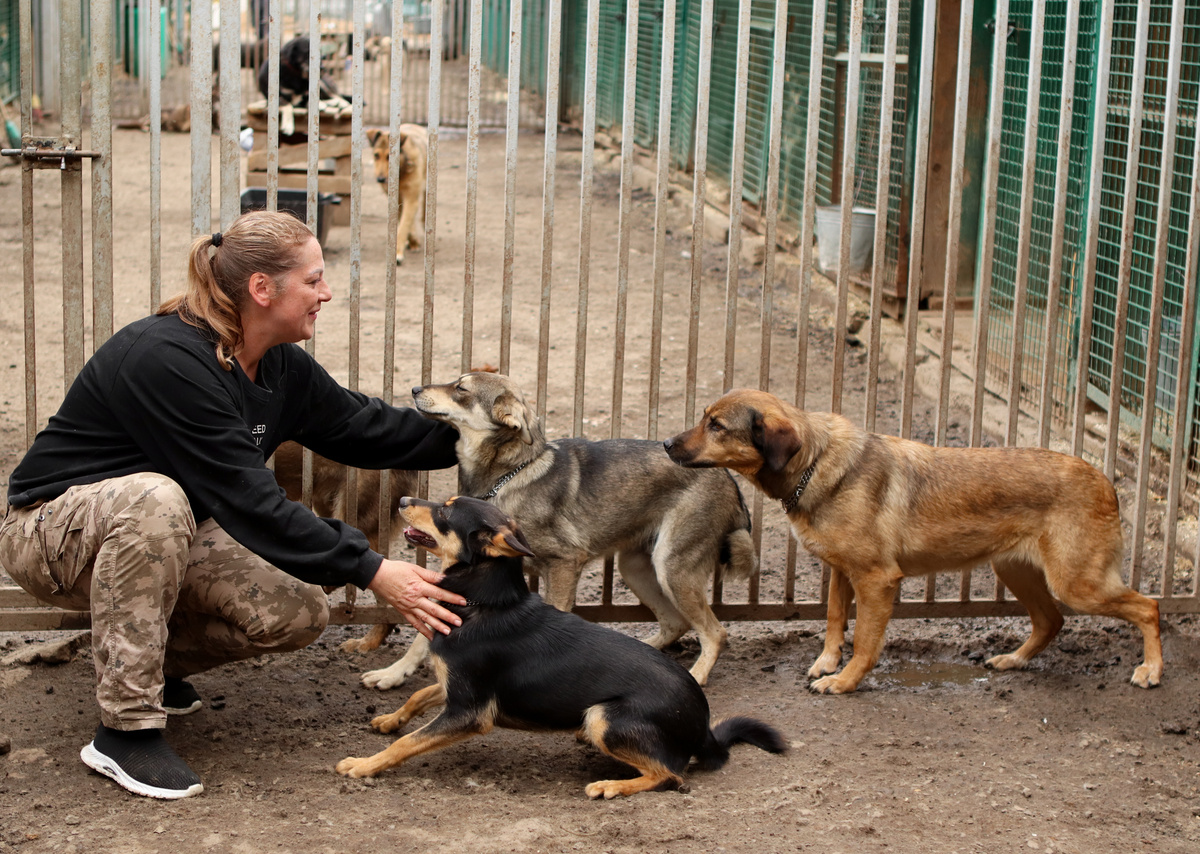 Да-да!!! Нас тут вон сколько ждунов!