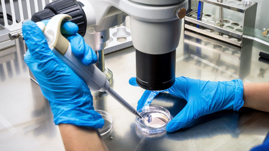    Shutterstock/FOTODOM