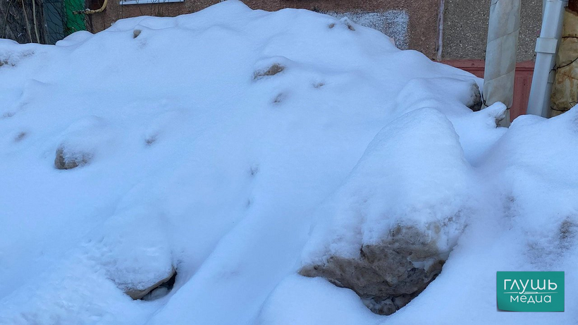   Фото: Алёна Власова