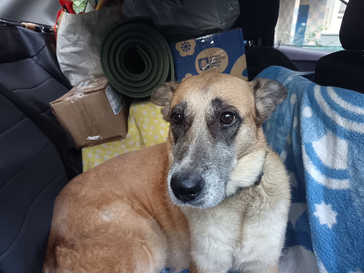 Вот так выглядит задний ряд моей нынешней «Гранты» при выезде в экспедицию