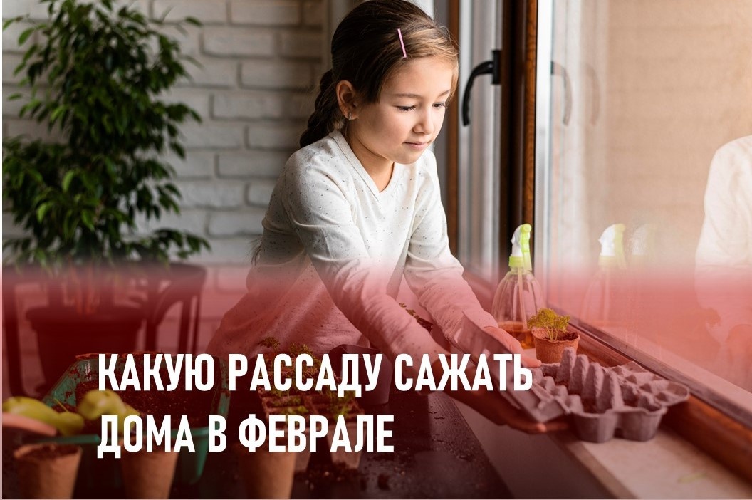 Источник: https://ru.freepik.com/