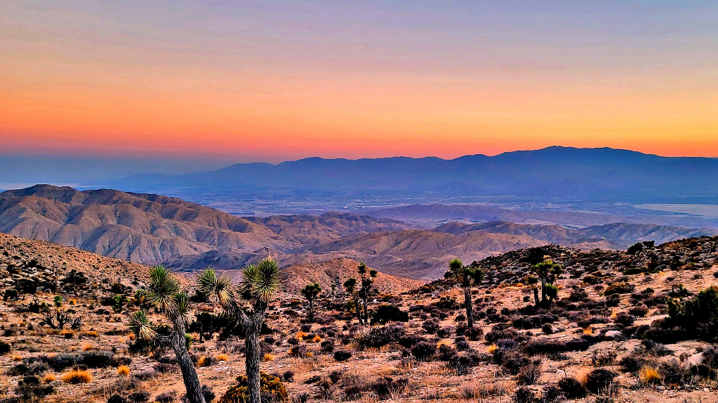 Национальный парк Джошуа-Три (Joshua Tree National Park)