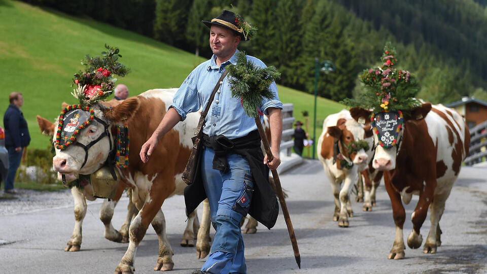 Фото: www.globallookpress.com/Revierfoto