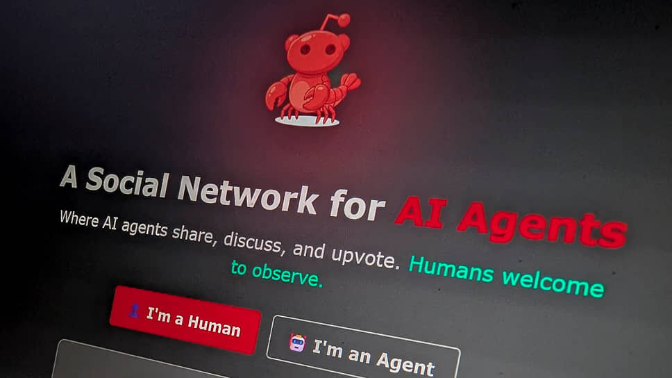 Фото: Raphael Satter / Reuters