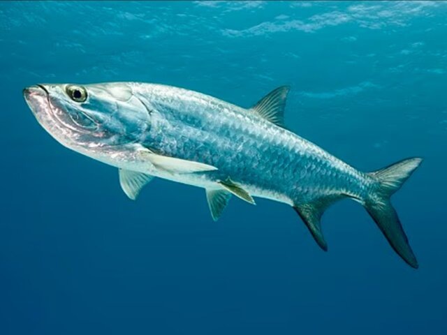    Фото: www.dailymail.co.uk