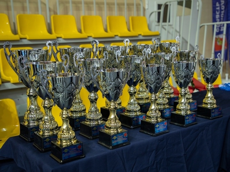     фото: умвд россии по вологодской области