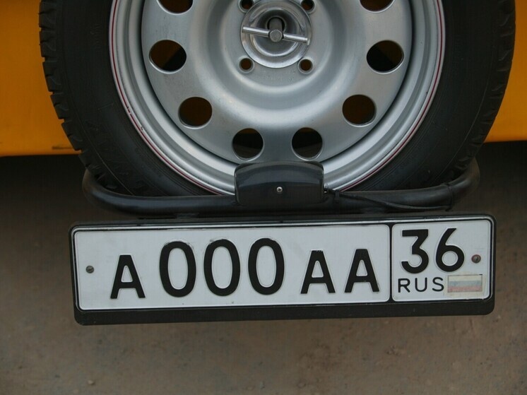     ФОТО: Andrei Kamenev / Russian Look