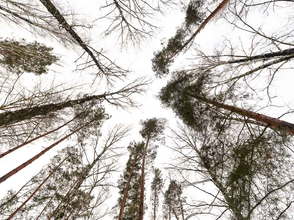     Фото: Алексей Дацковский