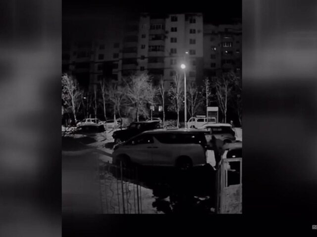    Фото: 28.мвд.рф