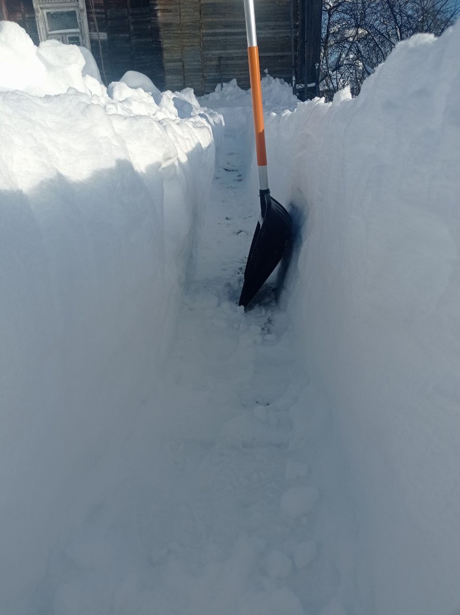 Высота снежного покрова. В прошлый раз снега было всего по колено....