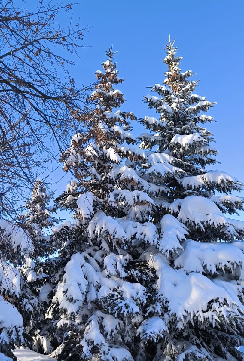 Фотографии в статье авторские