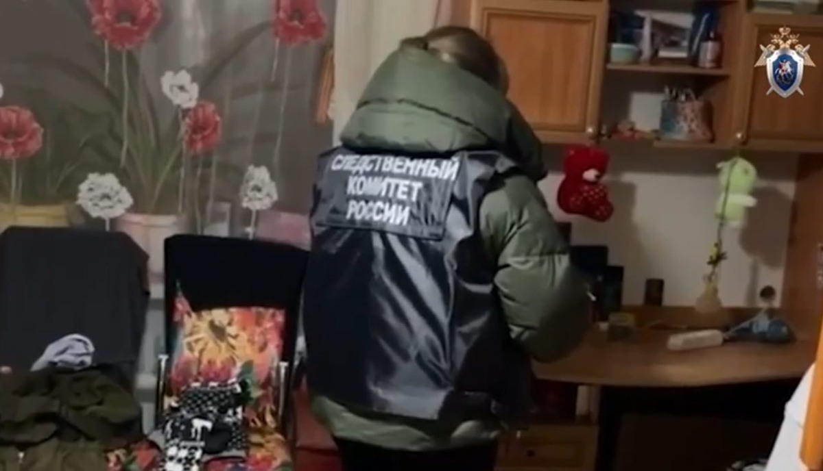     Фото: скрин видео, пресс-служба СУ СК по Воронежской области